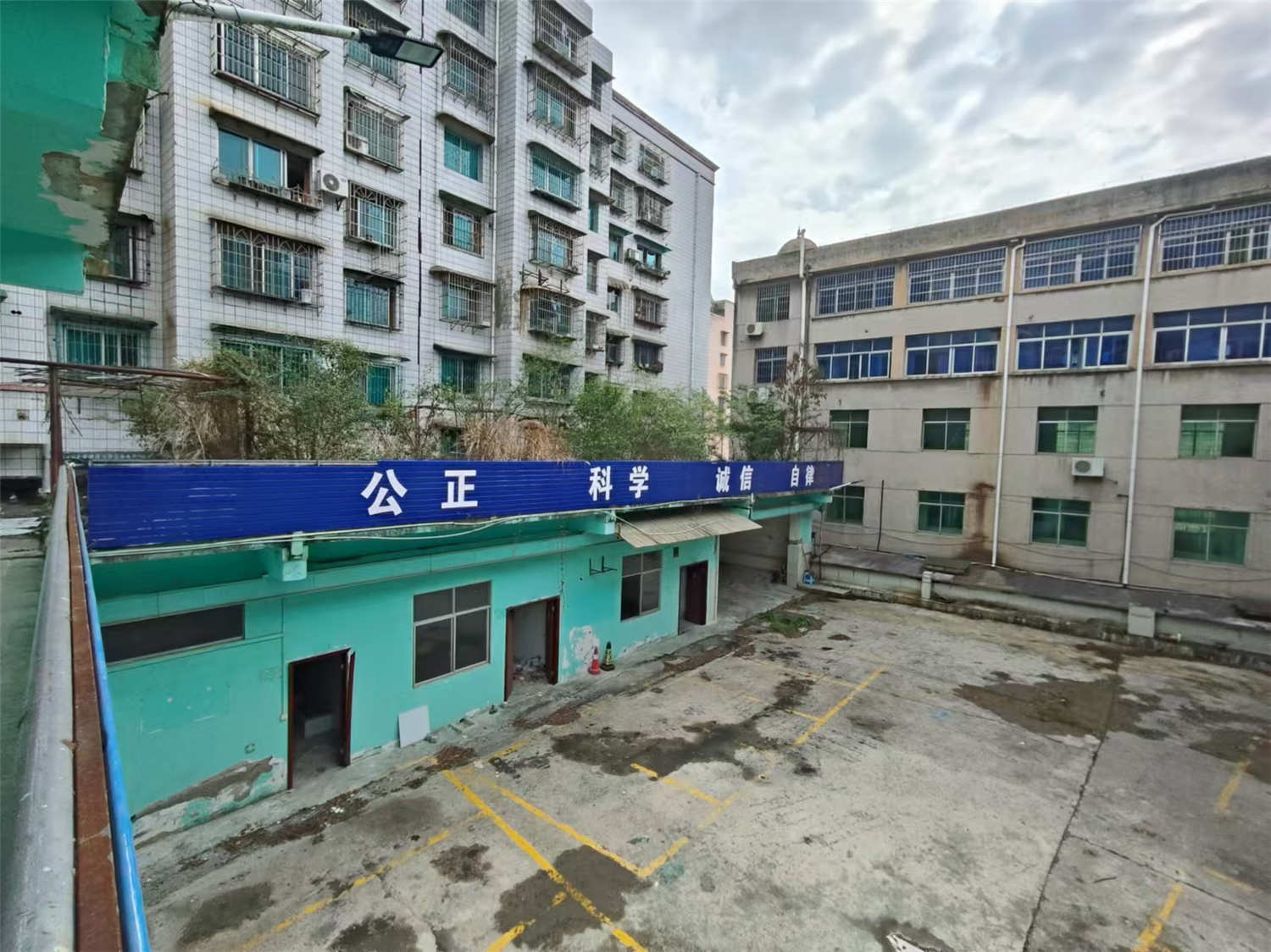 独栋物业出租 好停车带前后院